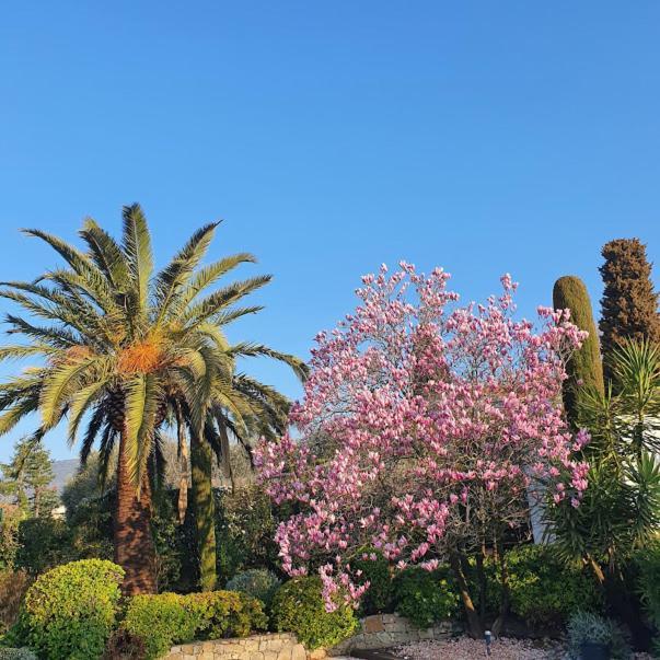 Bed & Breakfast Le Domaine Des Muriers - Charme, Chic, Calme En Provence Cote D'azur